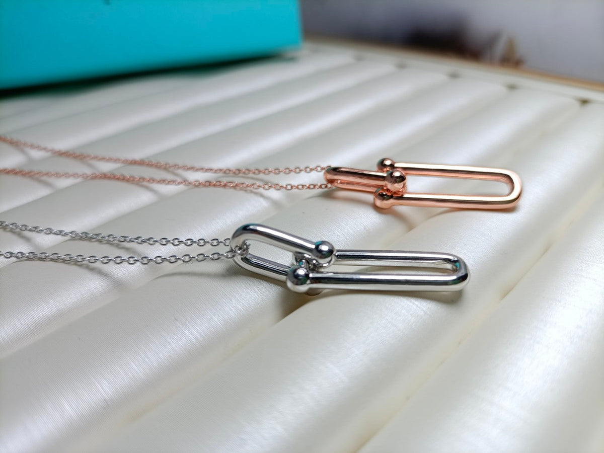 [Lumi Jewelry]HARDWEAR DROP DOUBLE LINK PEDANT NECKLACE