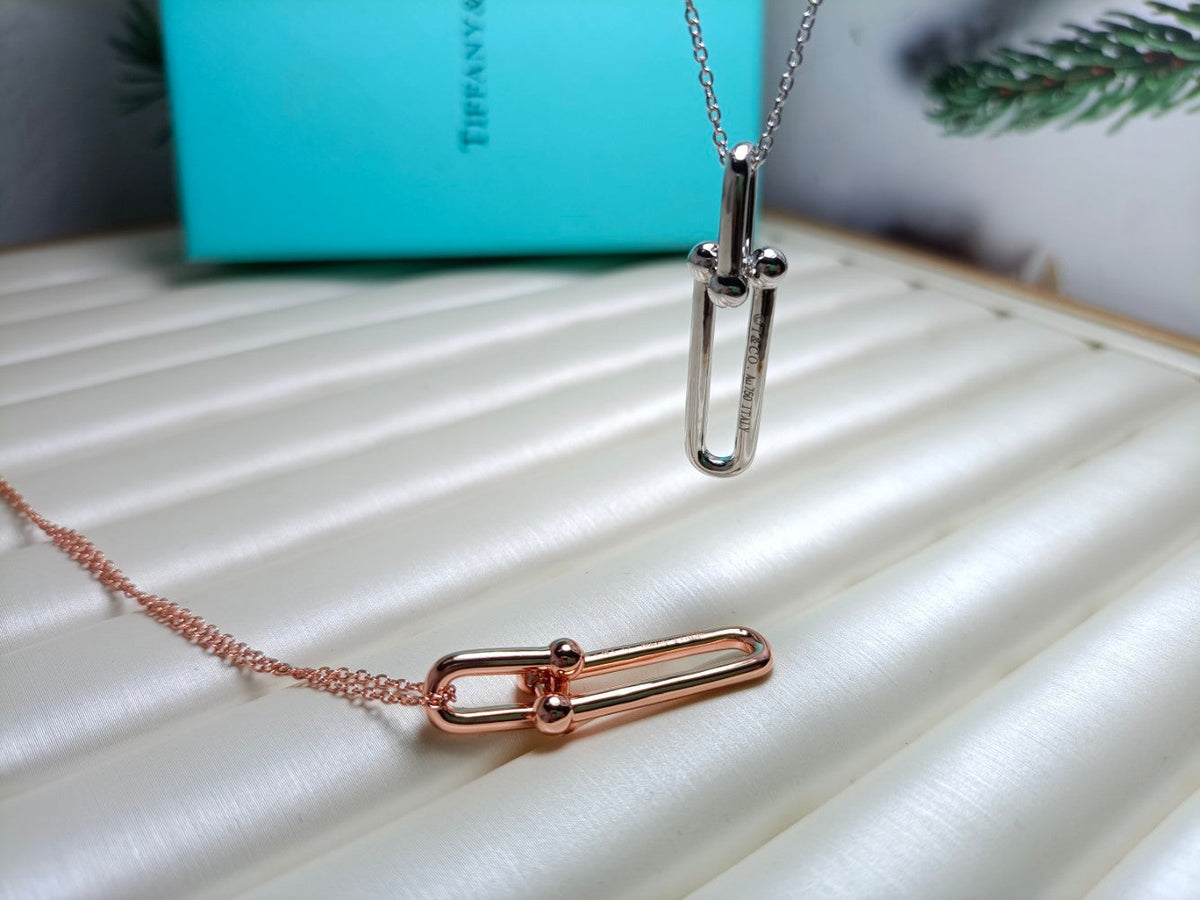[Lumi Jewelry]HARDWEAR DROP DOUBLE LINK PEDANT NECKLACE