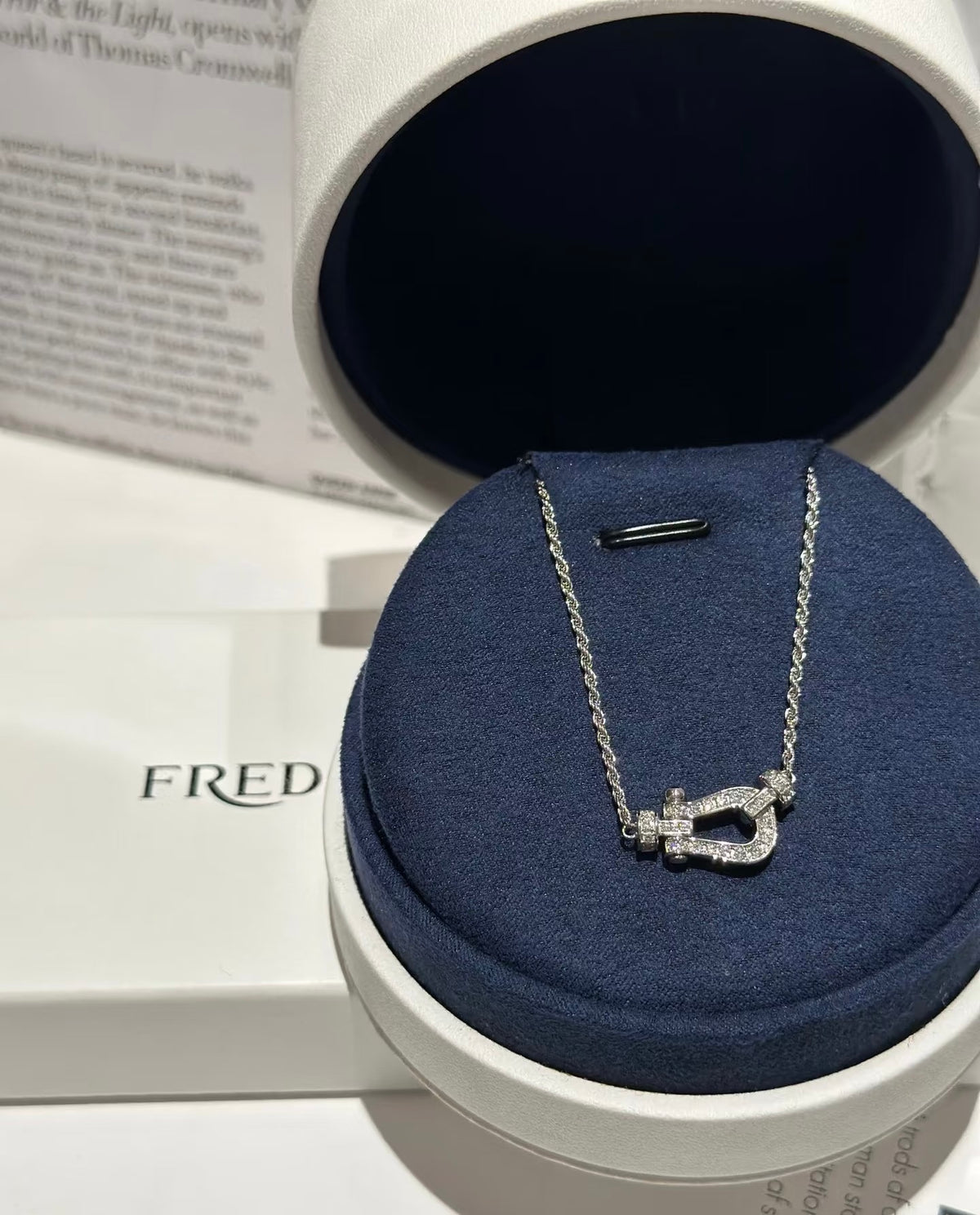 [Lumi Jewelry]FD-FORCE 10 DIAMOND Large-size Diamond Necklace